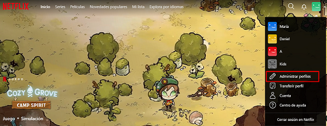 Administrar perfiles Netflix
