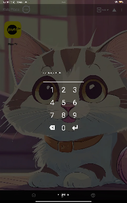 Introducir PIN KidsPlace