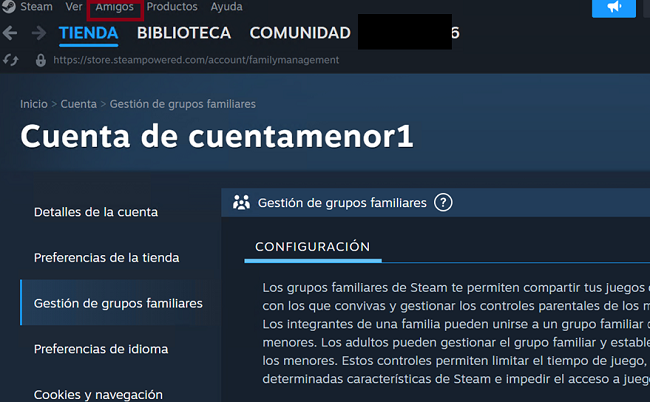 Menú principal Steam