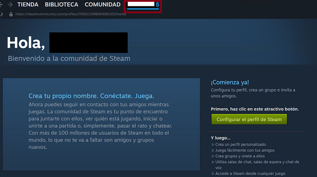 Menú principal Steam