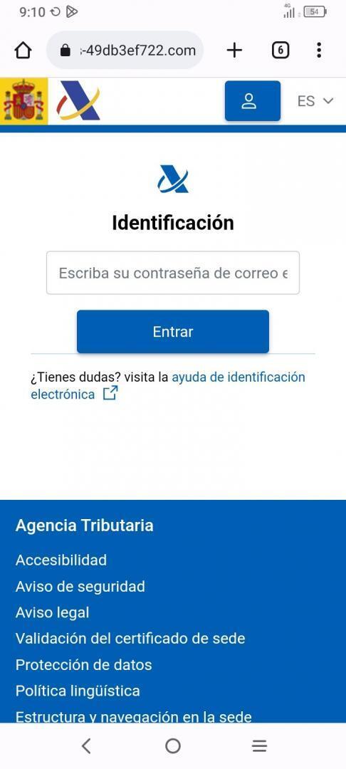 Se introducen datos personales en la web falsa