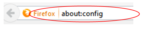 Escribir about:config en la barra de direcciones